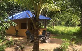 Yapahuwa Relax Stay